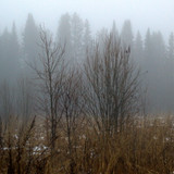 IMG 4732