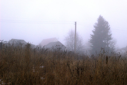IMG 4739.jpg