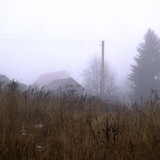 IMG 4739