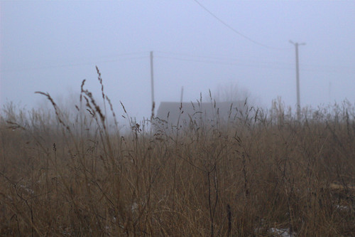 IMG 4746.jpg