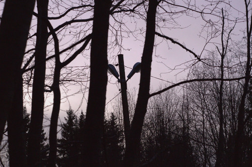 IMG 4655.jpg