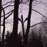 IMG 4655