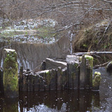 IMG 4678