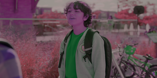 fh2n7w9fzqf4.png