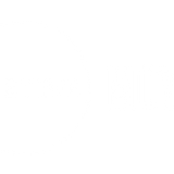 Lifetime Movies
