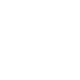 MTV 2