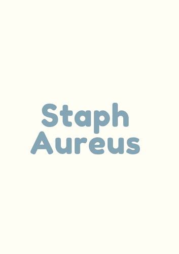 Staph Aureus (3).png