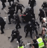 P20bRN2.gif