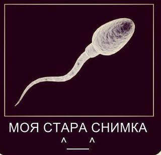 546547 401125236608677 989351125 n.jpg