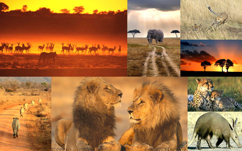 'Glorified is The Mighty Creator'.jpg