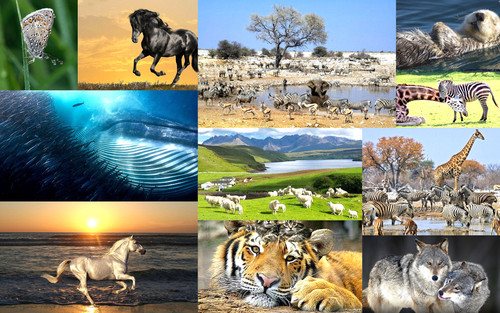 'Glorified is The Mighty Creator'.jpg