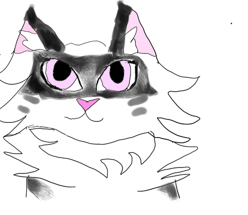 2022 11 30 0us Kleki