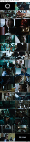 Amores.perros.2000.CC.BluRay.1080p.DTS HD.MA5.1.x265.10bit BeiTai preview.jpg