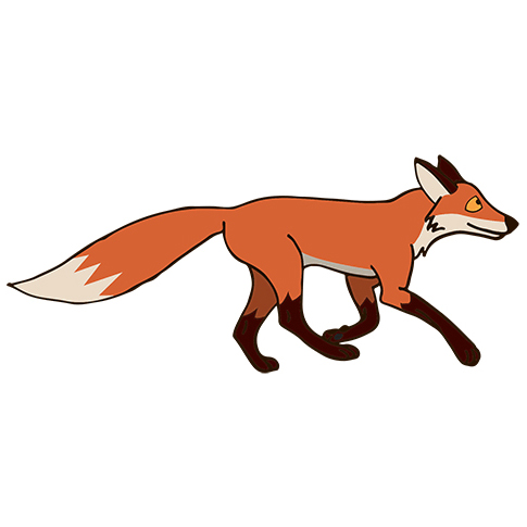 jumping fox.jpg