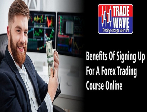 Forex Trading Course Online.jpg