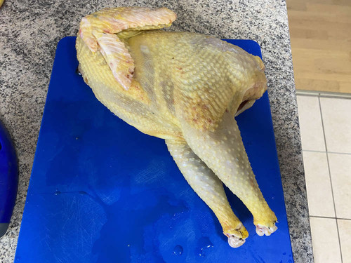 huhn2.jpg