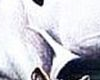 phantom 25.png