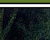 phantom 10.png