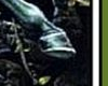 phantom 56.png