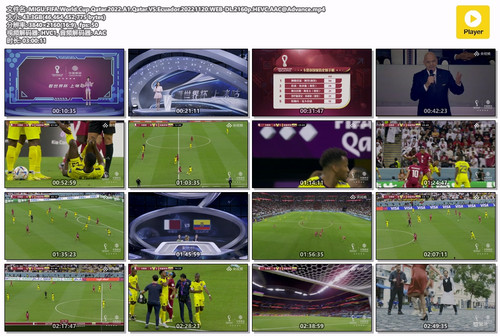 MIGU.FIFA.World.Cup.Qatar.2022.A1.Qatar.VS.Ecuador.20221120.WEB DL.2160p.HEVC.AAC@Advance.mp4.jpg