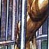 tarzan2C 13