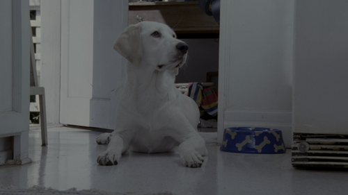 Indecent.Proposal.1993.2160p.HDR.UHD.BluRay.DTS HD.MA.5.1.x265 10bit HDS.mkv 20221207 215444.555.png