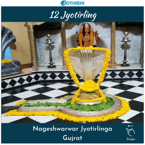 274865559 4964653930245013 6159087917088224821 n.jpg