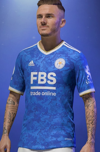 Maddison 1.1
