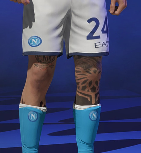 Insigne 2.1