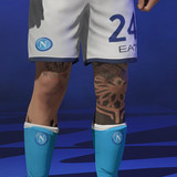 Insigne 2