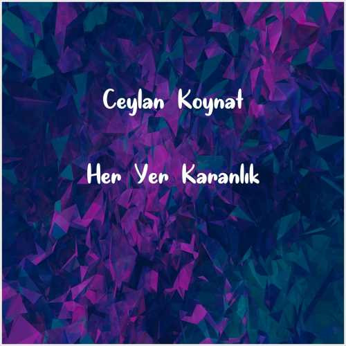 دانلود آهنگ جدید Ceylan Koynat به نام Her Yer Karanlık