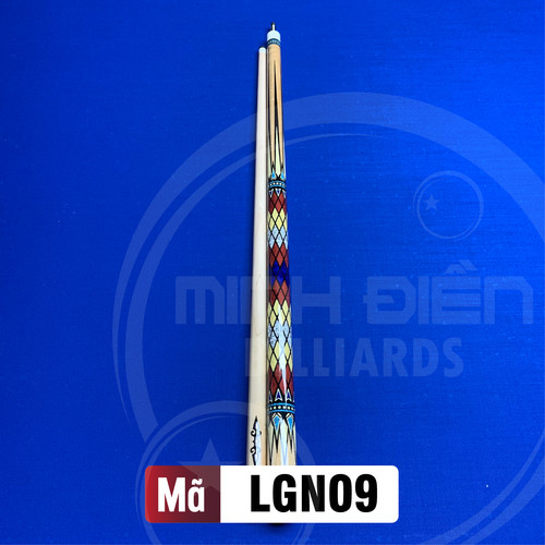 LGN 17.jpg
