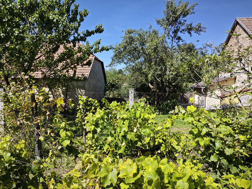 IMG 20230813 135516.jpg