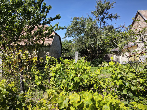 IMG 20230813 135516 1.jpg