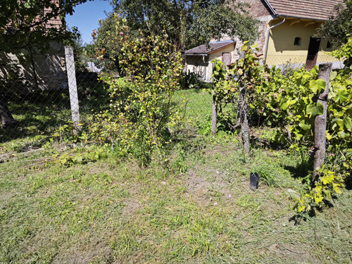 IMG 20230813 135536.jpg