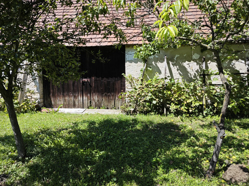 IMG 20230813 135659.jpg