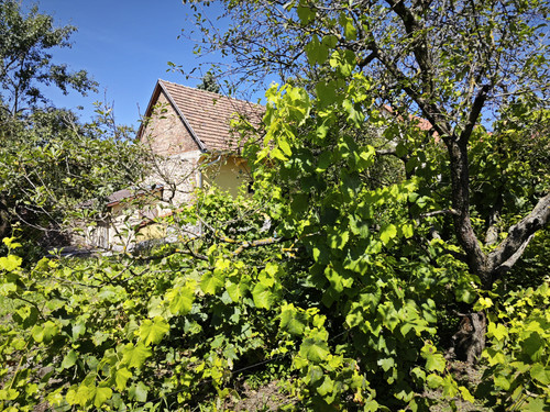 IMG 20230813 135443.jpg