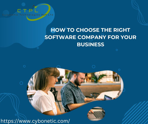 How to Choose the Right Software Company for Your Business.jpg