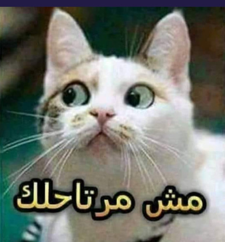 ٢٠٢٣٠٦٢١ ٠٢١٩١٣.jpg