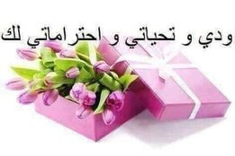 295621352 383663017201050 7399170266432358516 n.jpg