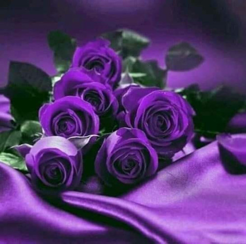 IMG 20230212 WA0001.jpg