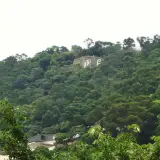 00025 捷運北投站仰望丹鳳山