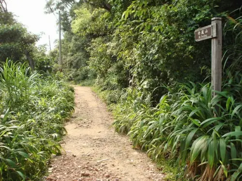 00016 丹鳳山步道