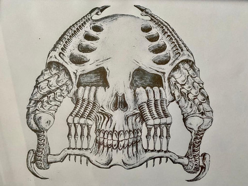 IMG 20230711 WA0001.jpg