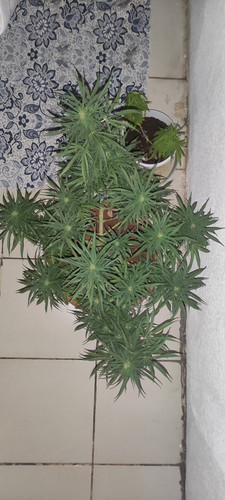 IMG 20230809 230904.jpg