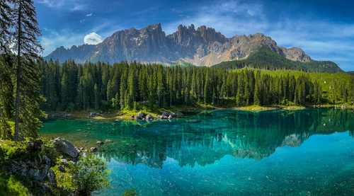 photo 1655219497332 80266ce998bf.png