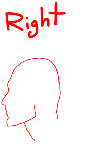 F403FB45 C7F5 43F0 9DD5 561997A53625.png