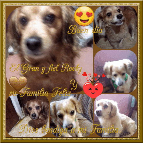 IMG 20230803 083705.gif