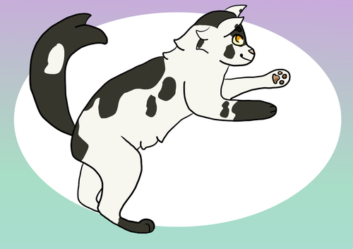 swiftpaw.png