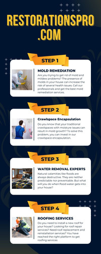 Mold Removal And Remediation Services in Madisonville.jpg